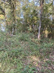 2020-10-01_09-31-42_743B3F40-BB3D-4132-B61B-4D94562AE487.jpg