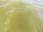 2012-09-21_14-26-50_CIMG0019.JPG