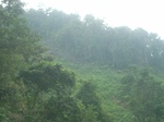 2012-09-08_19-26-38_RIMG0113.JPG