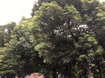 2017-09-10_08-38-40_565552AB-4B77-4421-9E81-3E9995D39E14.jpg