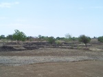 537702052008(69).JPG