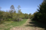 175IMG_4071.JPG