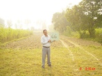 6575gt066-cropland-2.jpg