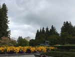 2018-08-23_16-17-45_9D069198-C3E1-41E5-93F7-771F70CADF94.jpg