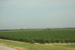 2022-06-11_17-39-29_9580BC9B-88E6-4CD0-BA60-B9B8DCBCAC0E.jpeg