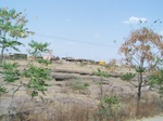 1766522042008(46).JPG
