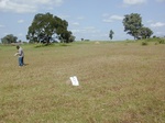 11963GT009_grass.JPG