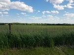 2017-05-29_20-41-04_south.jpg