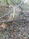 2012-09-24_10-40-13_DSC03101.JPG