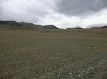 37132CIMG0929.JPG