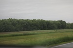 2022-06-11_17-39-05_033C0E54-17C0-45EE-B971-908DA19D23C8.jpeg