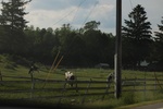 2022-06-11_16-04-21_7BE7B0FF-A3FF-43D0-9986-E45A213B6C51.jpeg