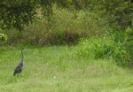 2017-09-25_09-38-21_lakecreek4.jpg