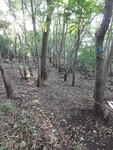 2012-09-24_10-40-24_DSC03056.JPG
