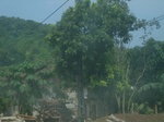 2012-09-08_18-23-55_RIMG0077.JPG