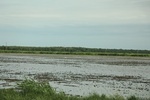 2022-06-12_15-04-04_4F97D6DB-3E67-4EF1-98D5-40549093204D.jpeg