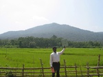 7751gt015a-cropland-irrigated-rice-tunga.jpg