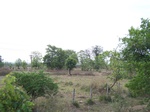 473902052008(1).JPG