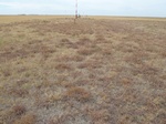 39216HOBA20110907S.JPG