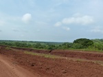 19716P1010565.JPG