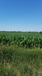 2017-07-05_20-32-47_IMG_20170705_114812.jpg