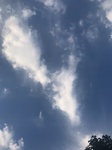 2020-10-03_19-13-28_2020-10-3-18-2-41.jpg