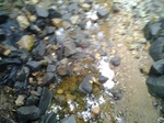 2012-09-03_16-25-15_0903120907.jpg