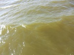 2012-09-21_14-27-09_CIMG0033.JPG