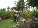 6268048b-irrigated-classic-supplemental-groundwater-sugarcane-dominant-cotton-groundnut-coconut-doublecrop.jpg