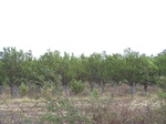 475101052008(18).JPG