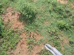 831547-topview.jpg