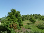 19333P1010179.JPG