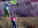 10918gt-124-wetlandtseasonal-02.jpg