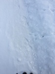 2018-03-02_15-03-31_5C9F5E61-26E9-4B32-B010-C4110EB22B8D.jpg