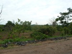 18406P1000242.JPG