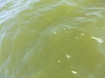 2012-09-21_14-25-34_CIMG0121.JPG