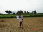 6197036b-irrigated-supplemental-groundwater-rice-groundnut-curryleaves-vegetables-orchards-doublecrop.jpg