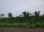 3717RIMG0020.JPG