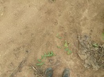 18823P1000662.JPG