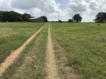 2017-07-06_07-10-31_IMG_0114.JPG