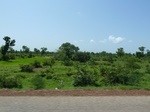 19524P1010371.JPG