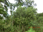 2012-09-26_20-50-01_CIMG1036.JPG