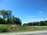 57088CIMG2386.JPG