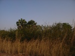 9009RIMG0085.JPG