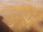 2012-09-21_14-25-47_CIMG0051.JPG