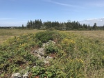 2018-09-04_11-59-54_61620BA0-8CB4-4B69-B499-68B893CE5B9A.jpg