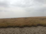 2018-01-08_09-58-52_9B9730F0-410C-4E55-8382-9B19C9073D85.jpg