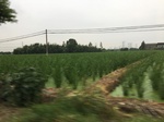 2017-09-11_23-00-12_1C004F91-8898-4A6F-987B-F3EA7EADBBB7.jpg