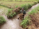2012-09-07_10-19-56_CIMG6719.JPG