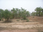 3901RIMG0205.JPG